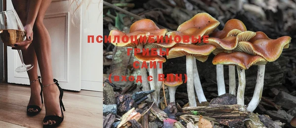 скорость Баксан